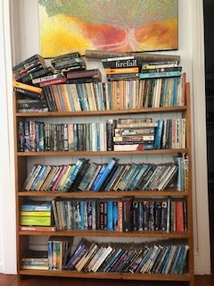 My books on the bookshelf