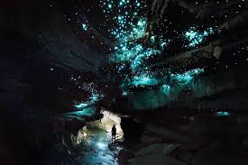 With ever turn the glow worms light was captivating
