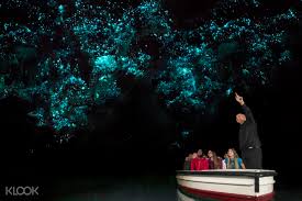 A guide pointing out the glow worm features