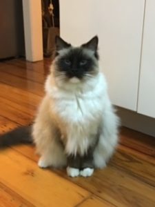 Zac, standing in front of the cupboard is part of his mornings-rituals