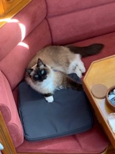 Zac Chillaxing, so not under pressure