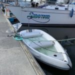 My dinghy full of water.