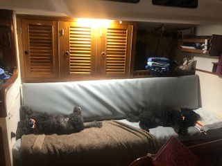 My beautiful munchkins during bedtime.