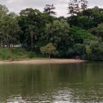 Colmslie Reach Beach when calm. My happy place.